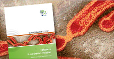 Influenza virus characterisation Europe September 2012