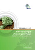 Molecular typing N. gonorrhea