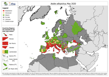 Aedes albopictus - current known distribution: May 2020