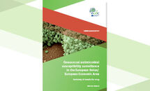 Cover of the report: "Gonococcal antimicrobial susceptibility surveillance in the European Union/European Economic Area, 2019"
