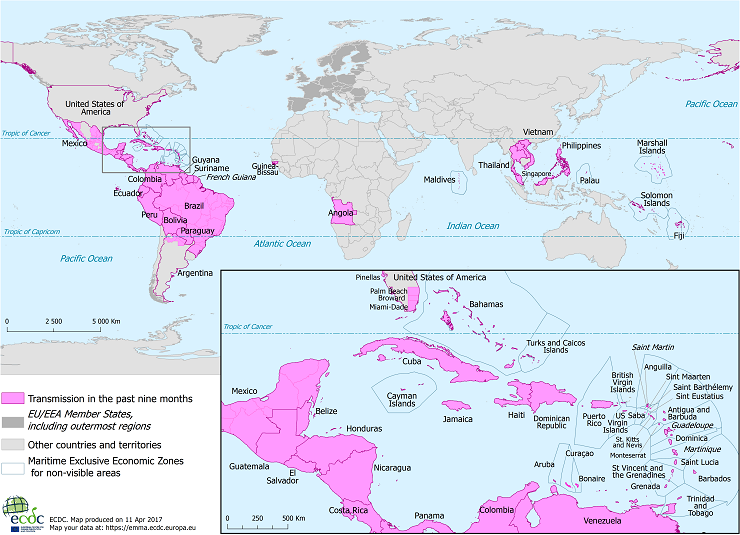 Zika Transmission In Past Nine Months