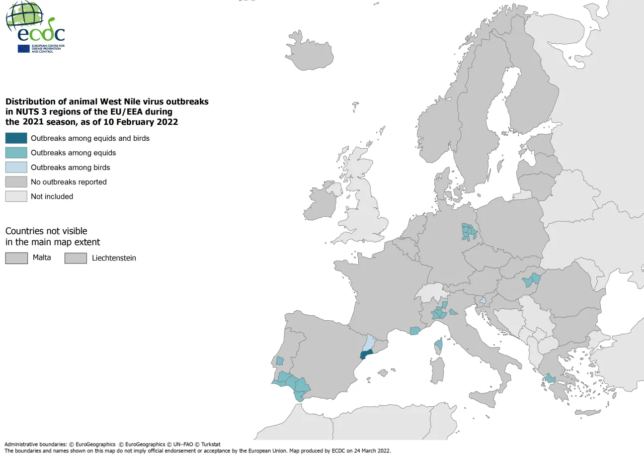 West Nile virus outbreaks among equids and birds, 2021 transmission season