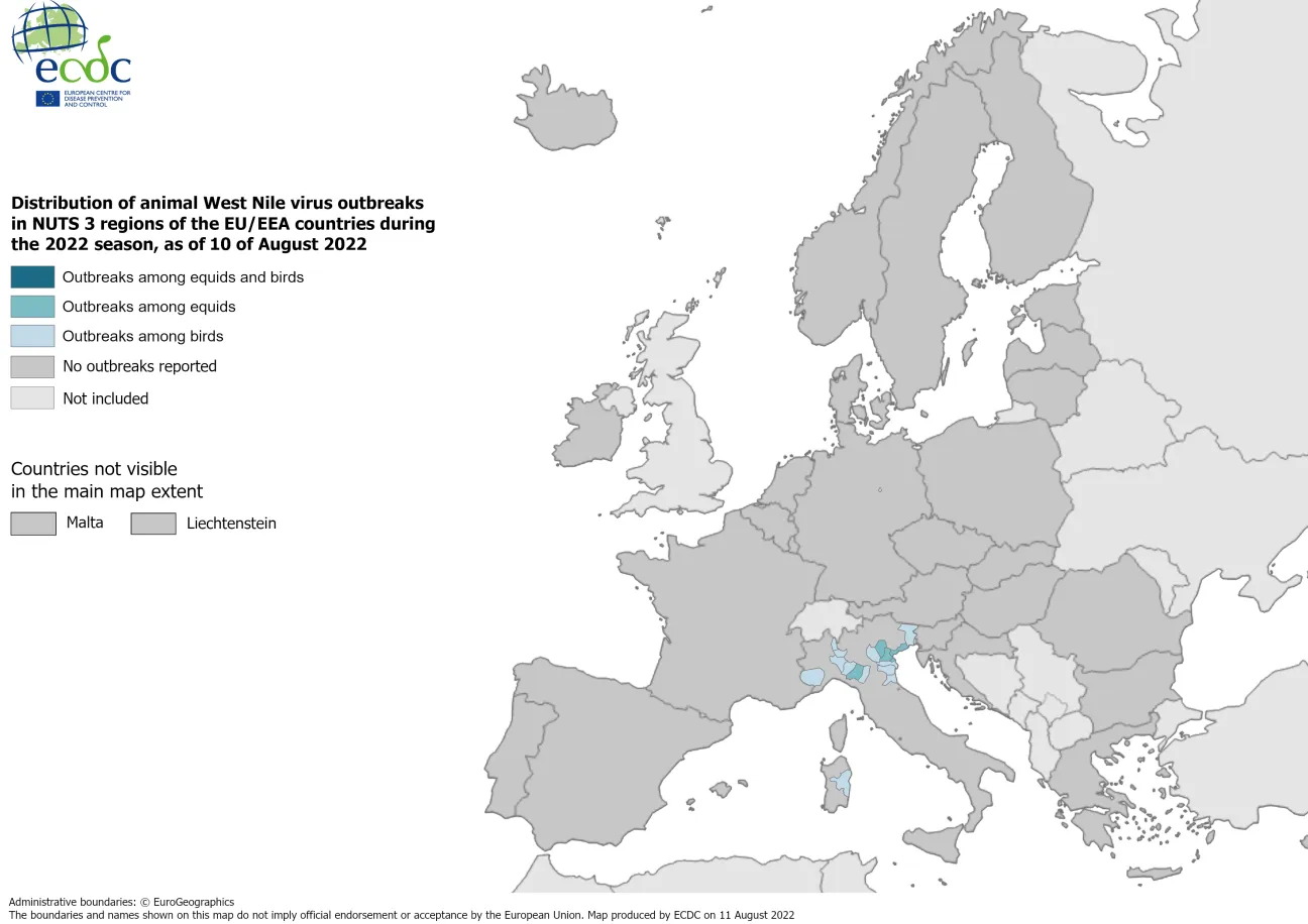 West Nile virus in Europe in 2022 - outbreaks among equids and/or birds, updated 10 August 2022