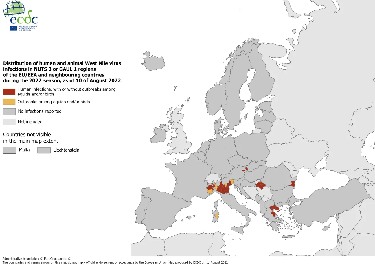 West Nile virus in Europe in 2022 - infections among humans and outbreaks among equids and/or birds, updated 10 August 2022