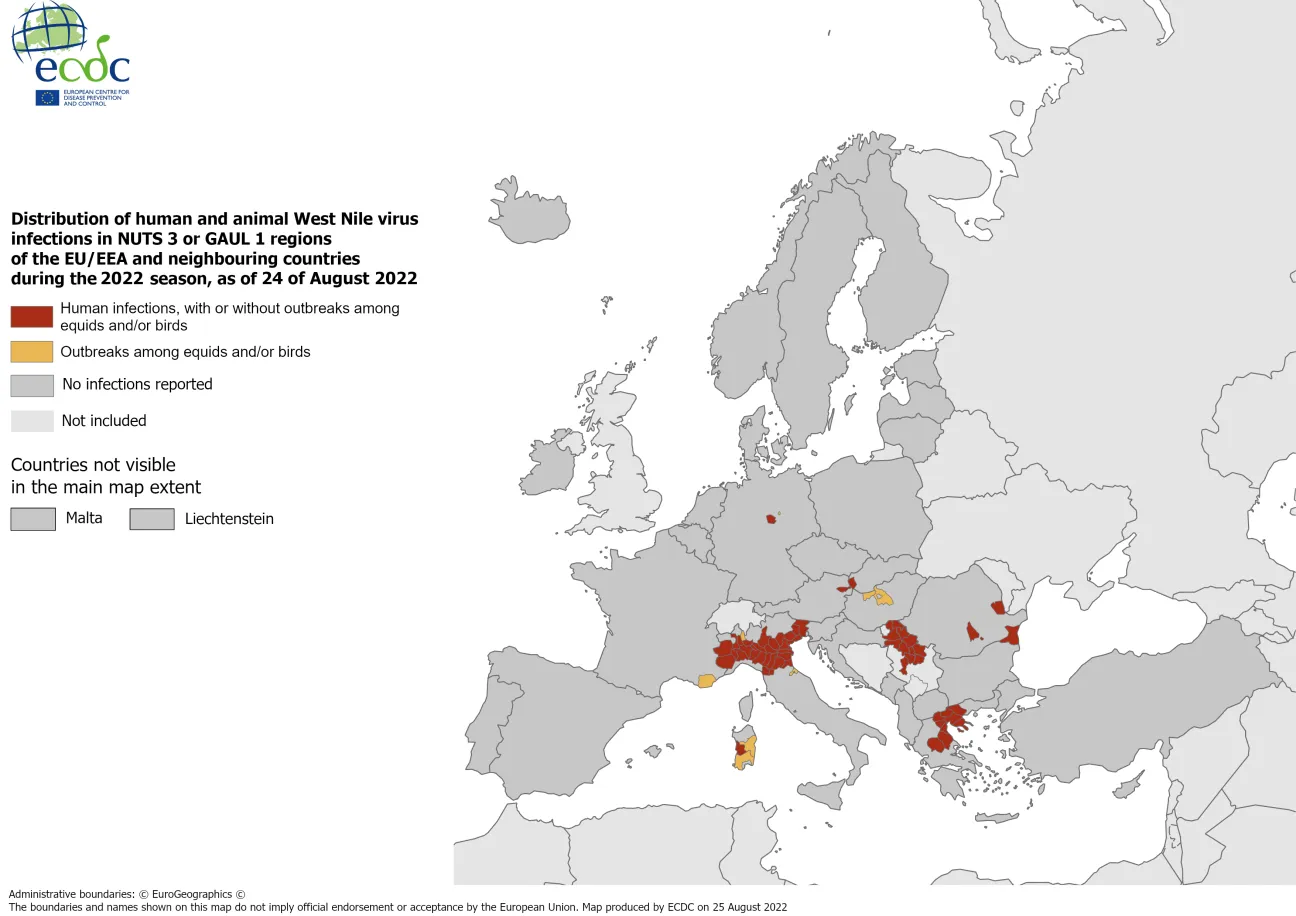 West Nile virus in Europe in 2022 - infections among humans and outbreaks among equids and/or birds, updated 24 August 2022