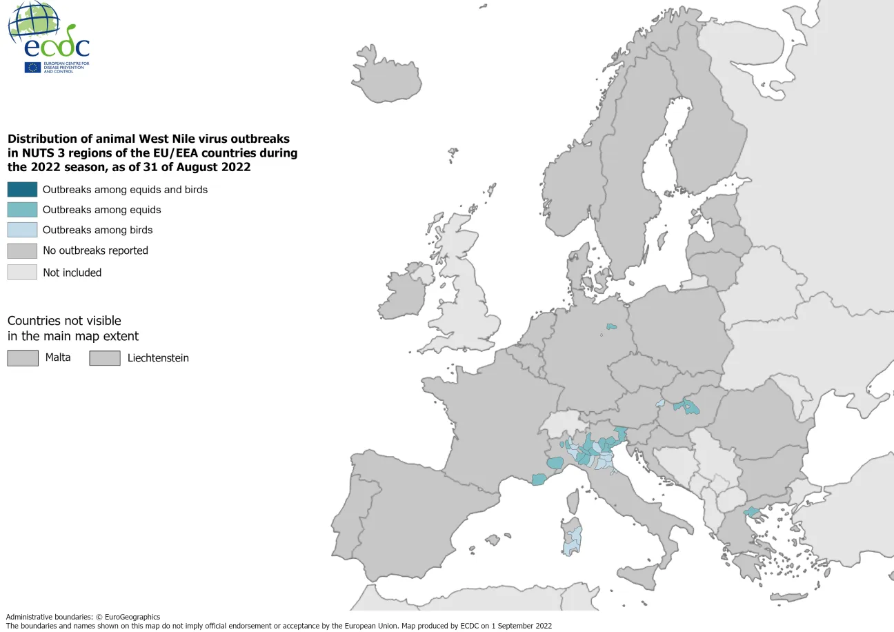 West Nile virus in Europe in 2022 - outbreaks among equids and/or birds, updated 31 August 2022