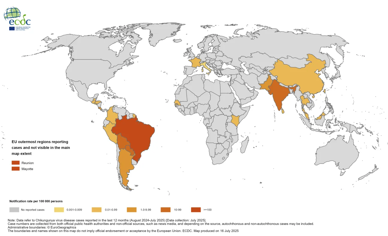 Chikungunya 12 months rate August 2024-July 2025