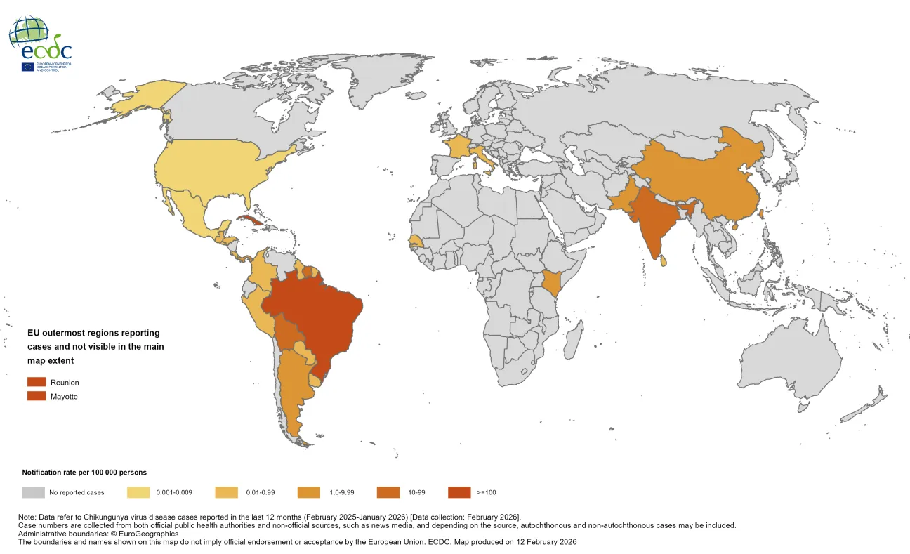 Twelve-month Chikungunya virus disease case notification rate per 100 000 population, February 2025 to January 2026