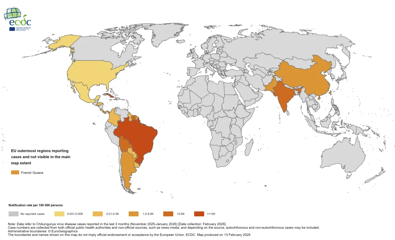 Three-month Chikungunya virus disease case notification rate per 100 000 population, November 2025 to January 2026
