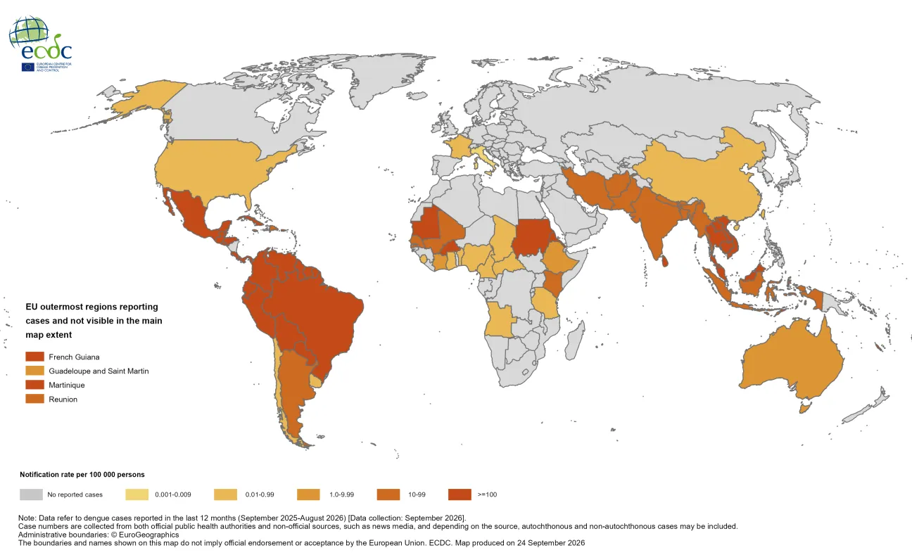 Twelve-month&nbsp;dengue&nbsp;virus&nbsp;disease&nbsp;case&nbsp;notification&nbsp;rate&nbsp;per&nbsp;100&nbsp;000 population, September 2025 to August 2026