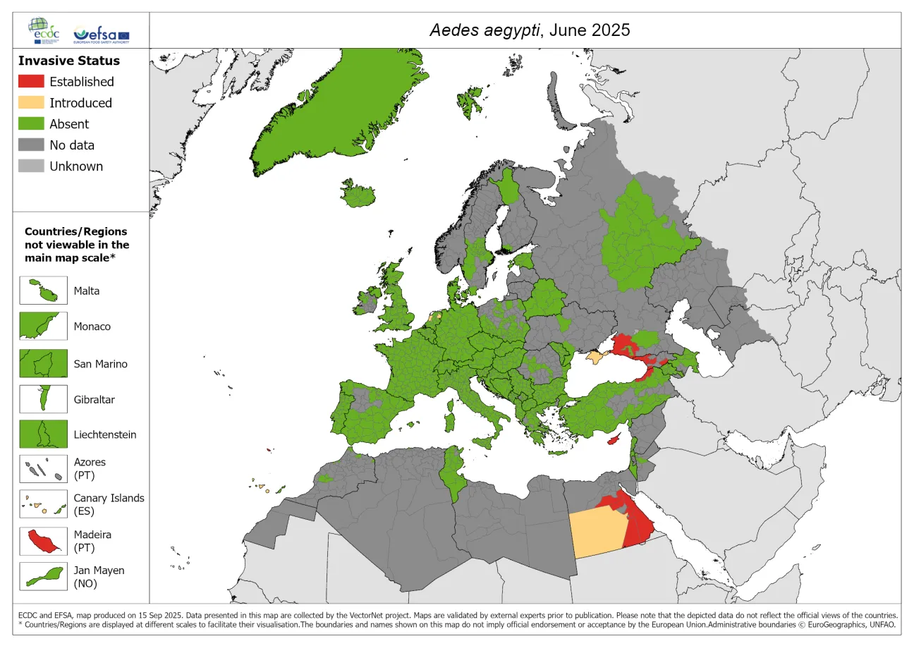 Aedes aegypti map June 2025