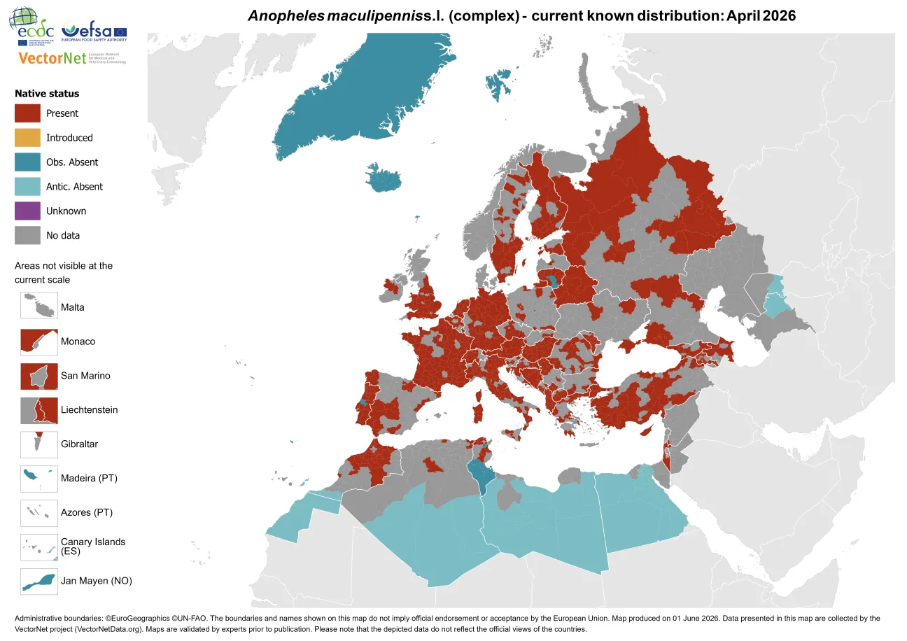 Anopheles maculipennis s.l. - current known distribution: April 2026