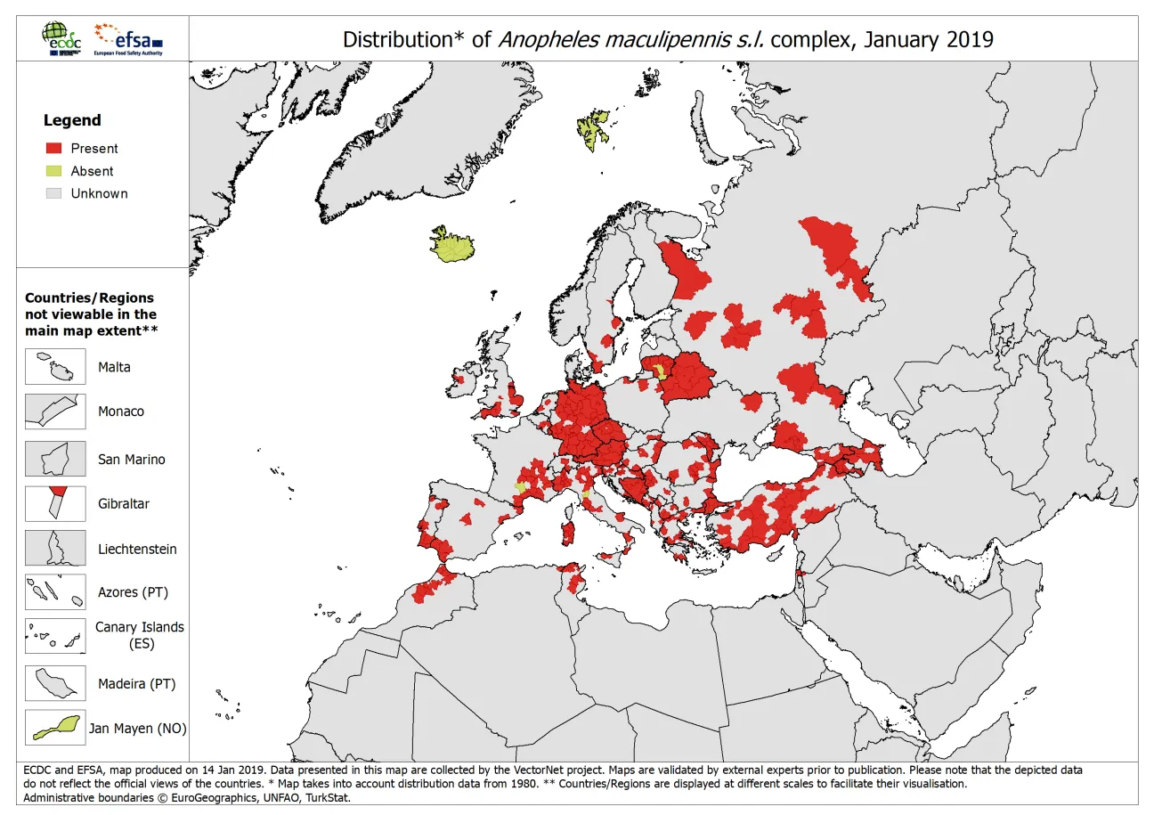 Anopheles maculipennis s.l. complex - current known distribution: January 2019