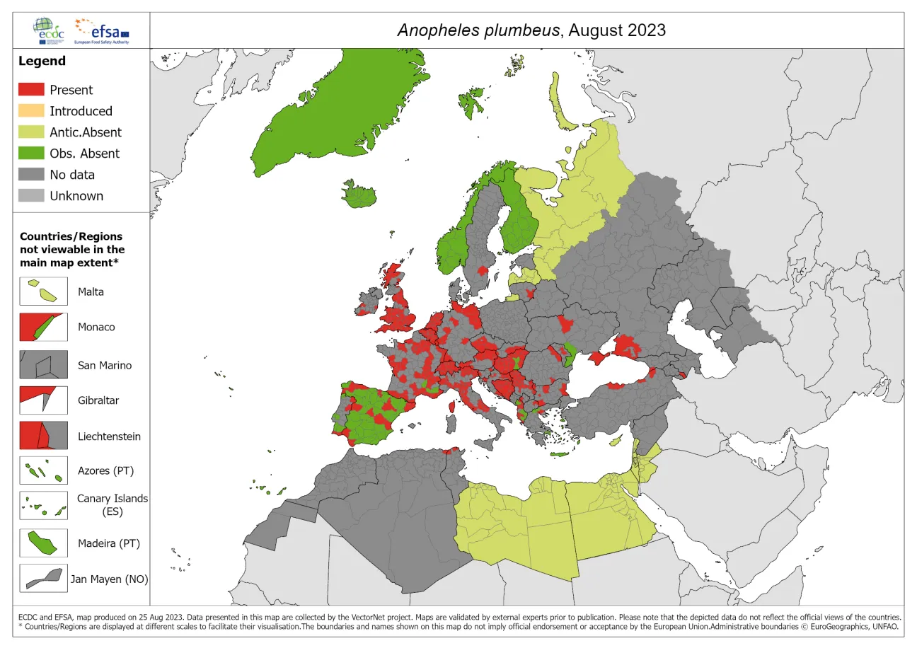 Anopheles plumbeus - current known distribution: August 2023