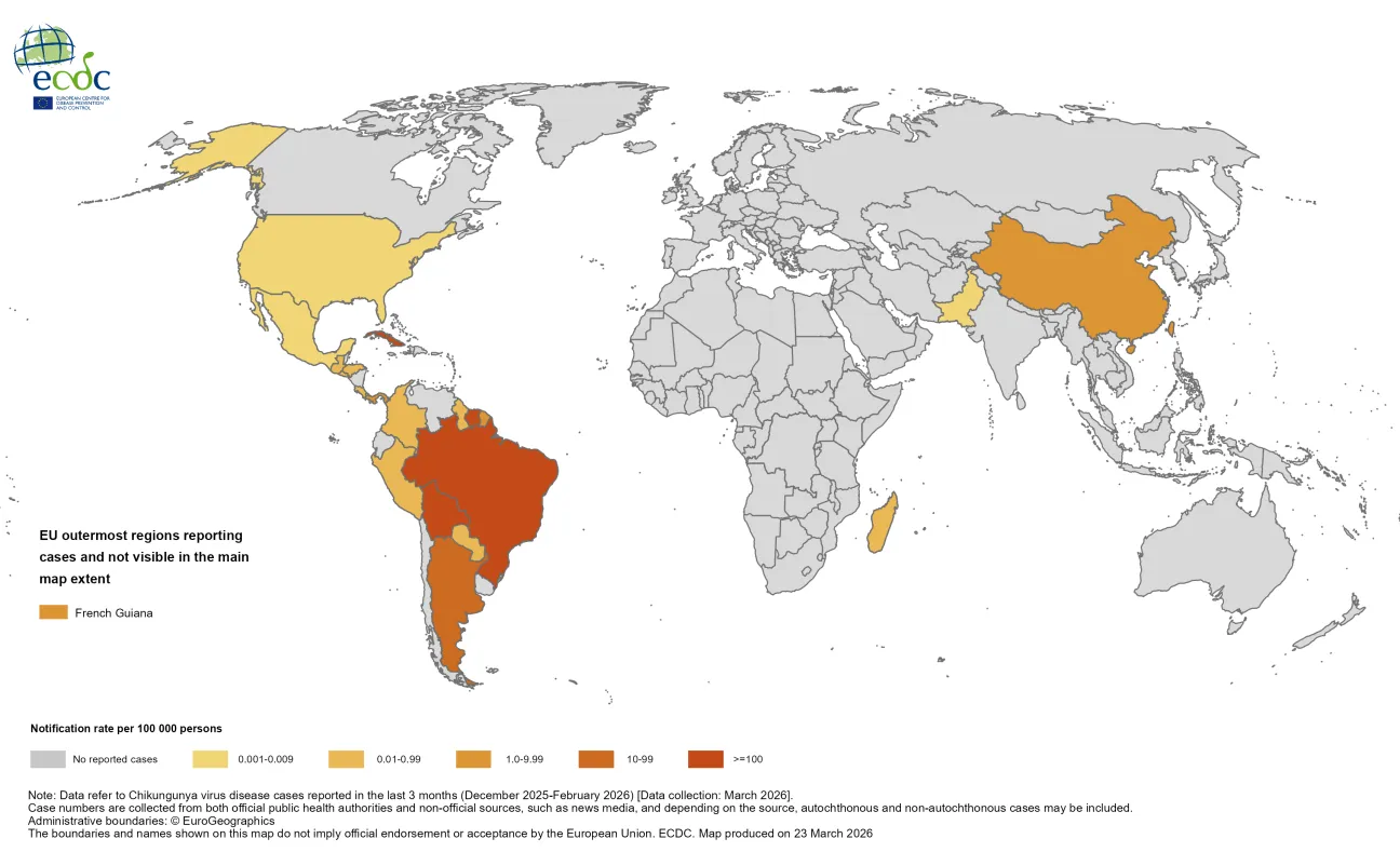 Three-month Chikungunya virus disease case notification rate per 100 000 population, December 2025 to February 2026