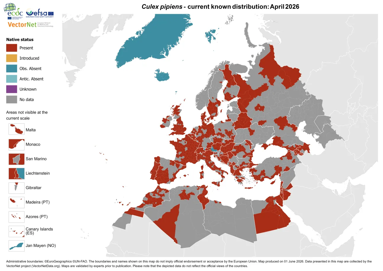Culex pipiens group - current known distribution: April 2026