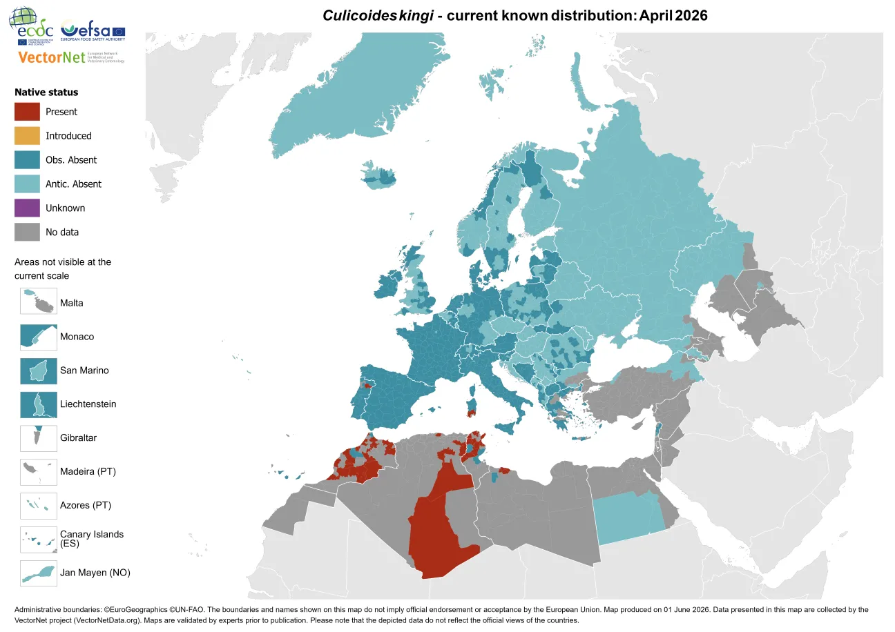 Culicoides kingi - current known distribution: April 2026.png