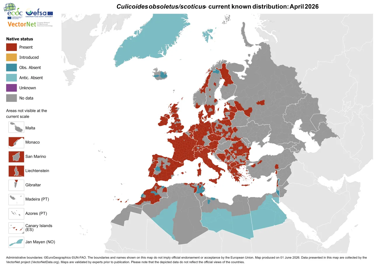 Culicoides obsoletus/scoticus - current known distribution: April 2026.png