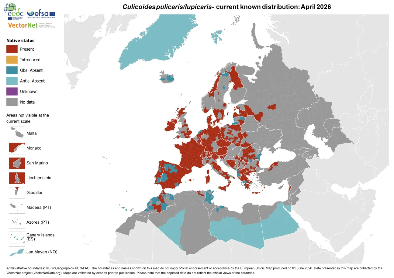 Culicoides pulicaris/lupicaris - current known distribution: April 2026.png