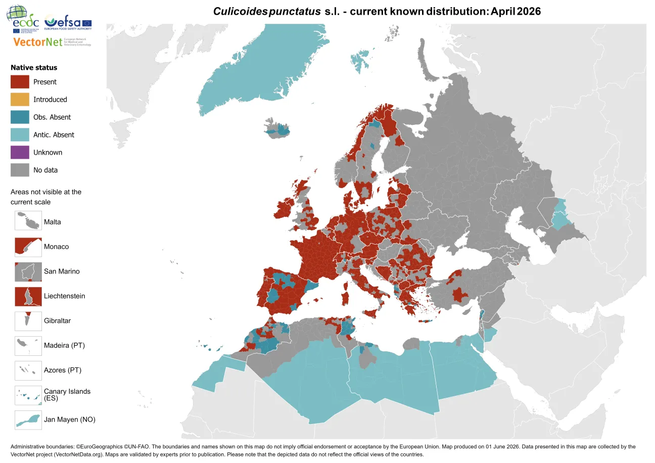 Culicoides punctatus s.l. - current known distribution: April 2026.png