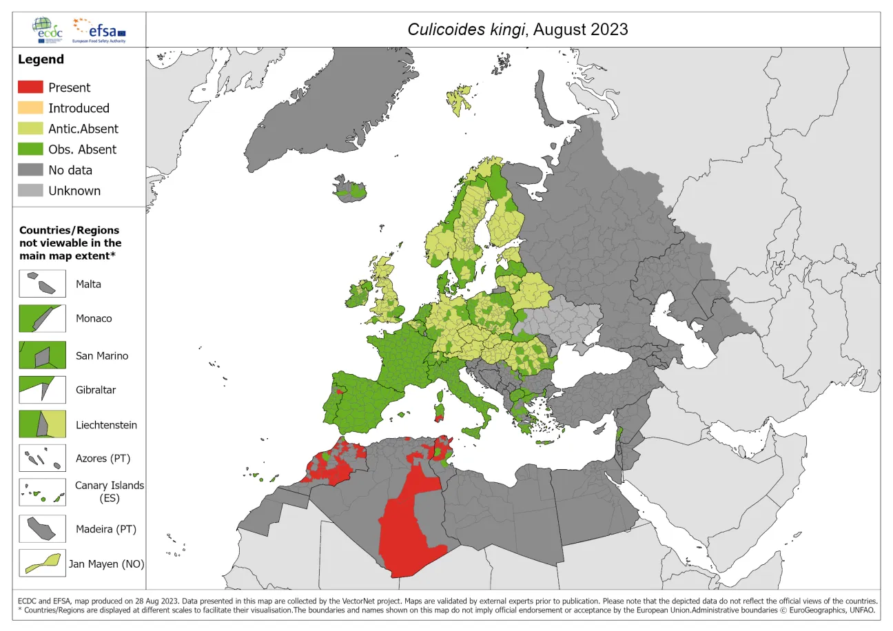 Culicoides kingi - current known distribution: August 2023