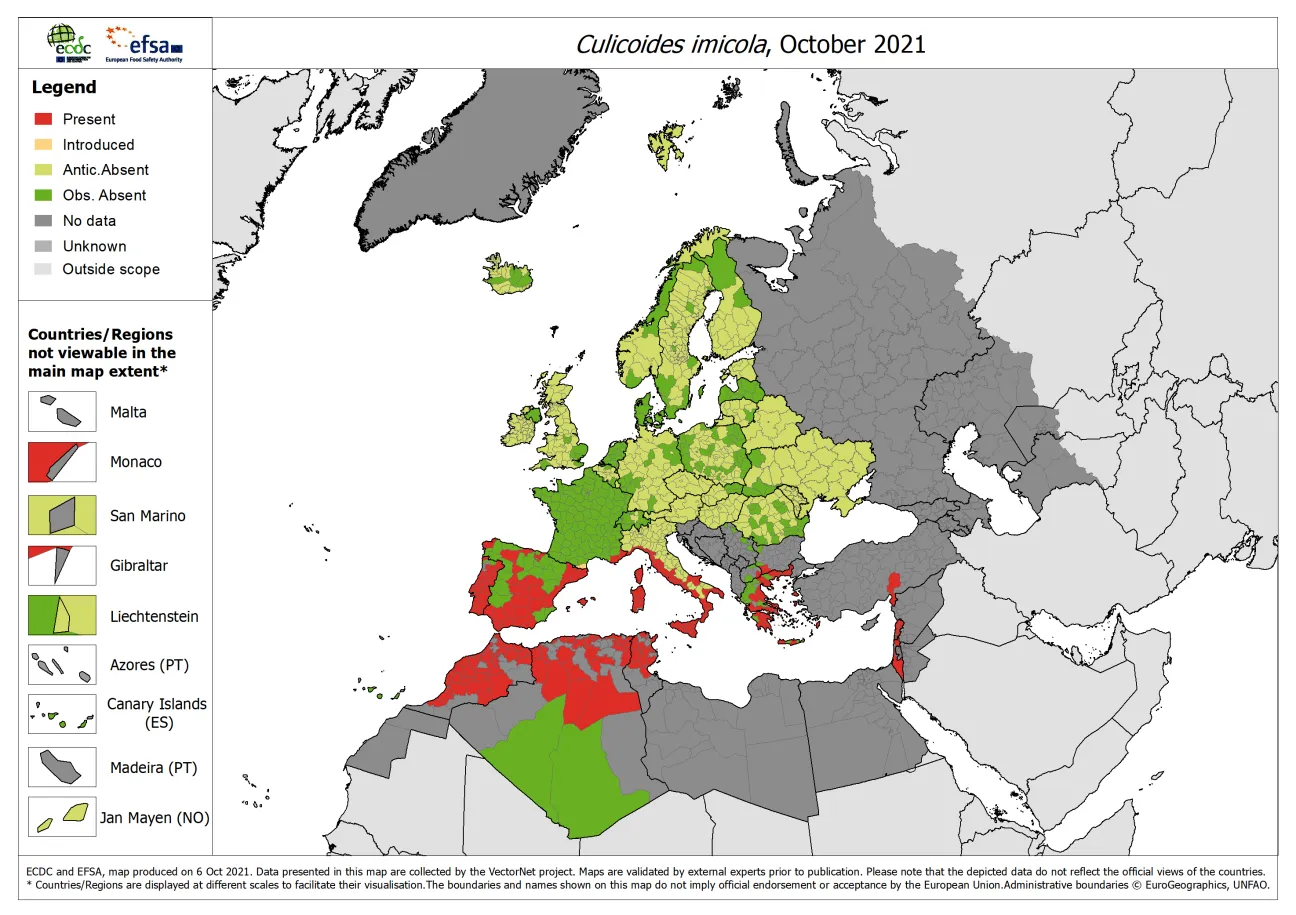 Culicoides imicola - current known distribution: October 2021