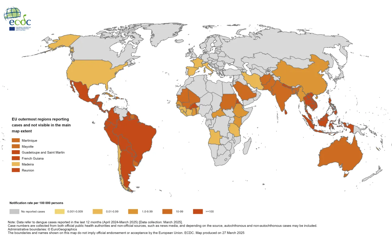 Dengue 12 months rate April 2024-March 2025