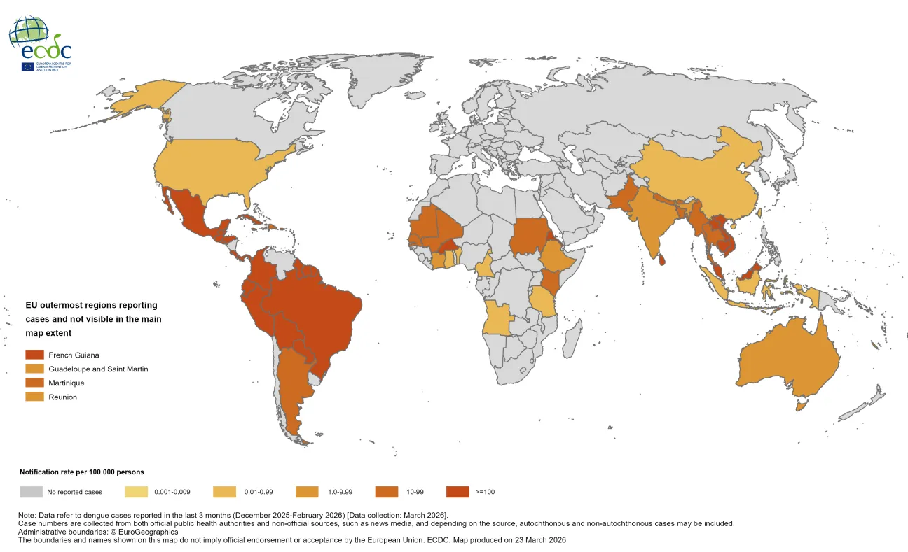 Three-month dengue virus disease case notification rate per 100 000 population, December 2025-February 2026