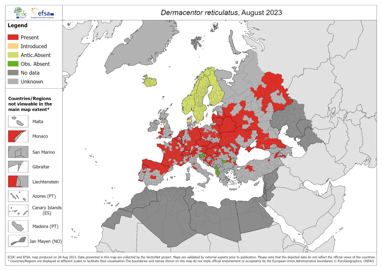 Dermacentor reticulatus - current known distribution: August 2023