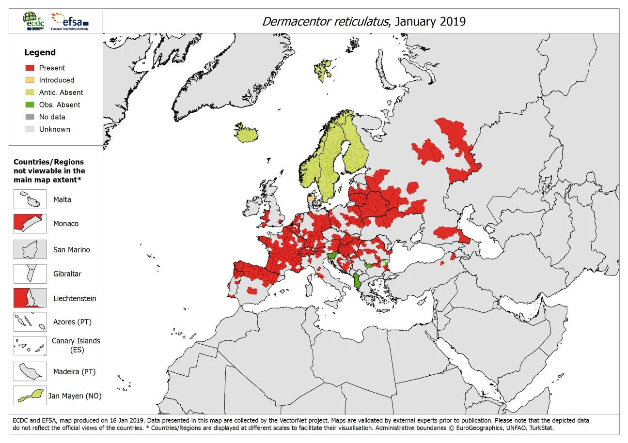 Map: Dermacentor reticulatus - current known distribution: January 2019