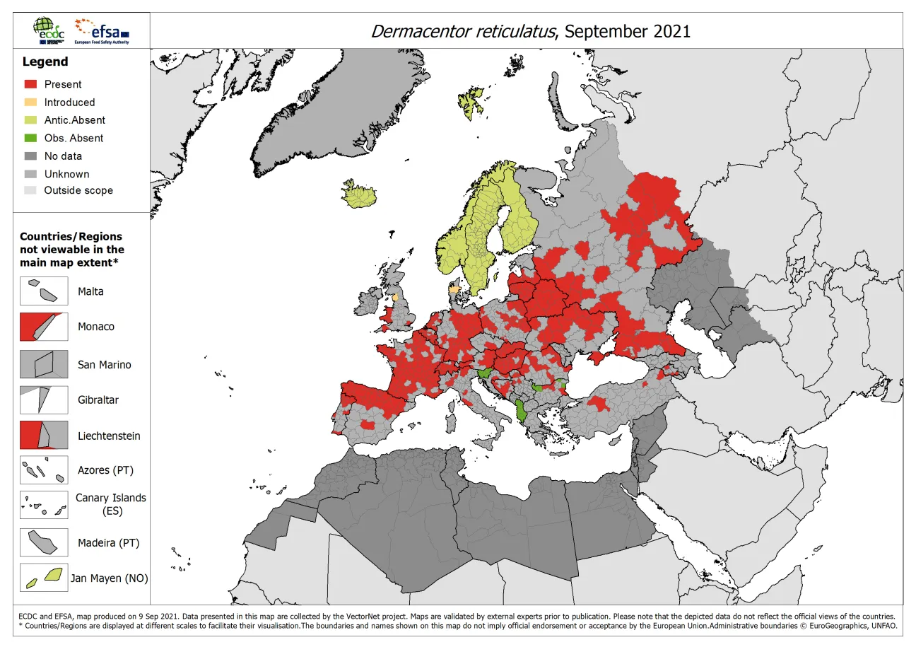 Dermacentor reticulatus - current known distribution: September 2021