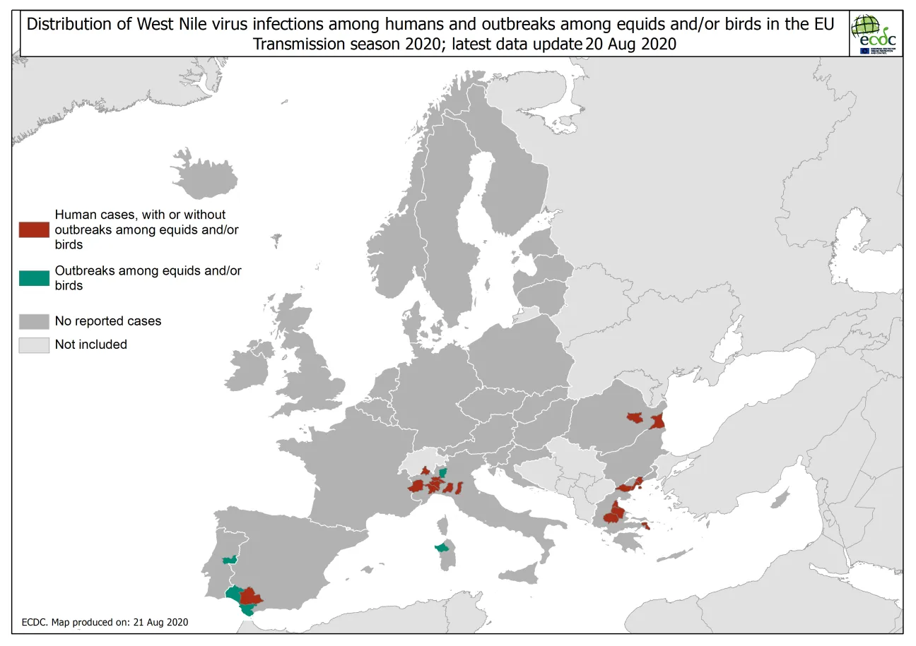 West Nile virus in Europe in 2020 - infections among humans and outbreaks among equids and/or birds, updated 20 August 2020