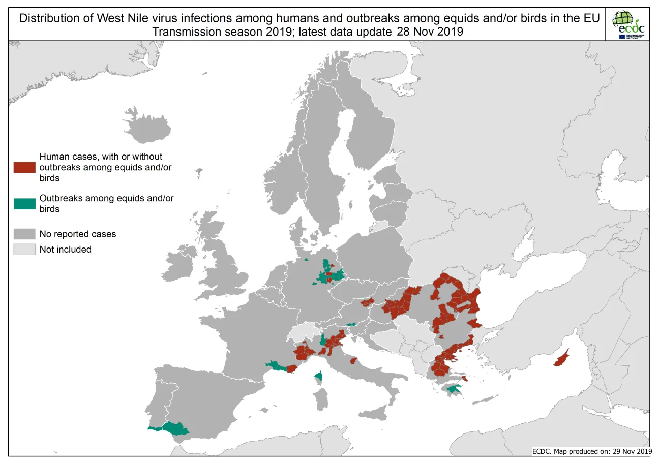 West Nile virus in Europe in 2019 - infections among humans and outbreaks among equids and/or birds, updated 29 November 2019