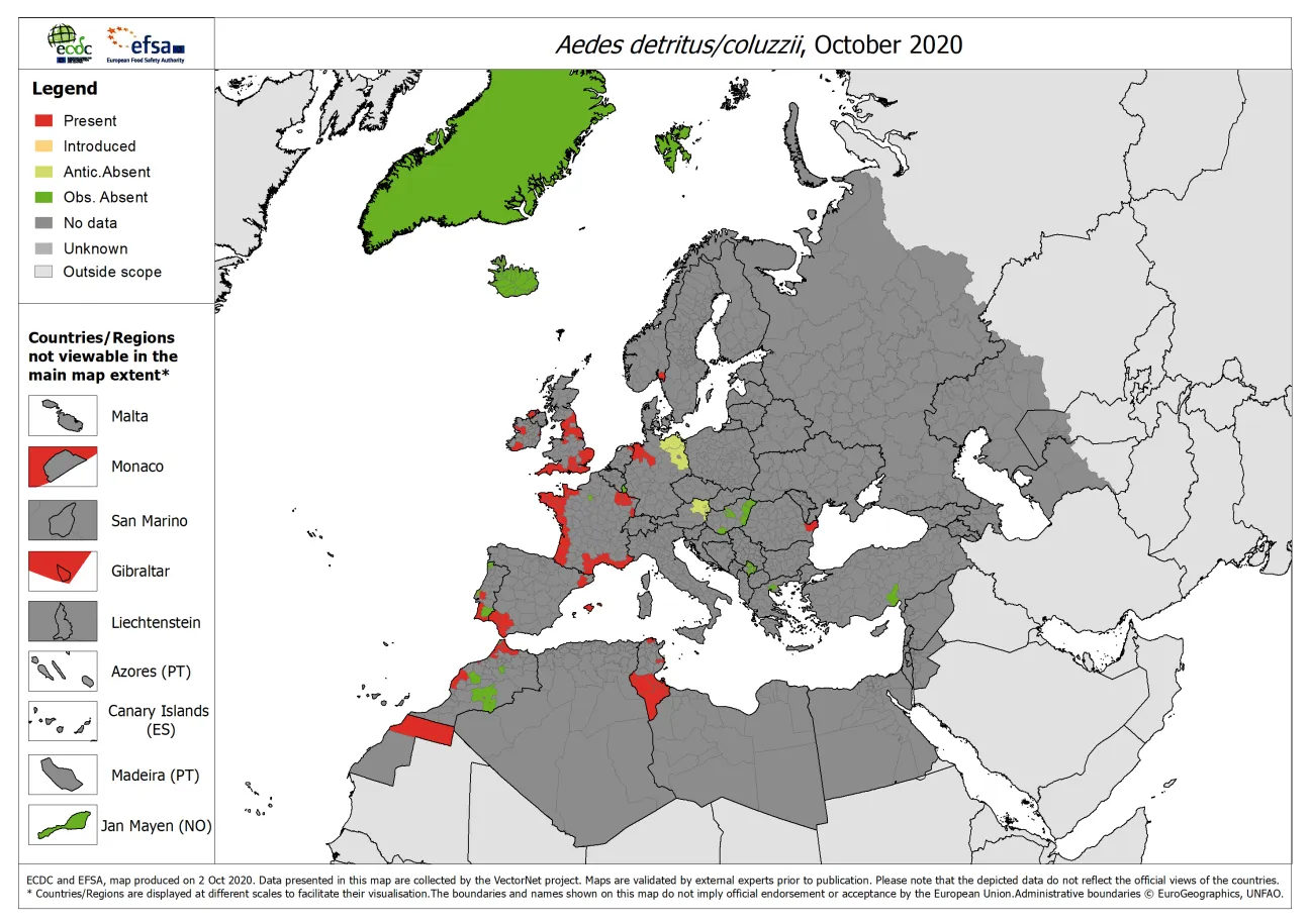 Aedes detritus/Aedes coluzzii - current known distribution: October 2020