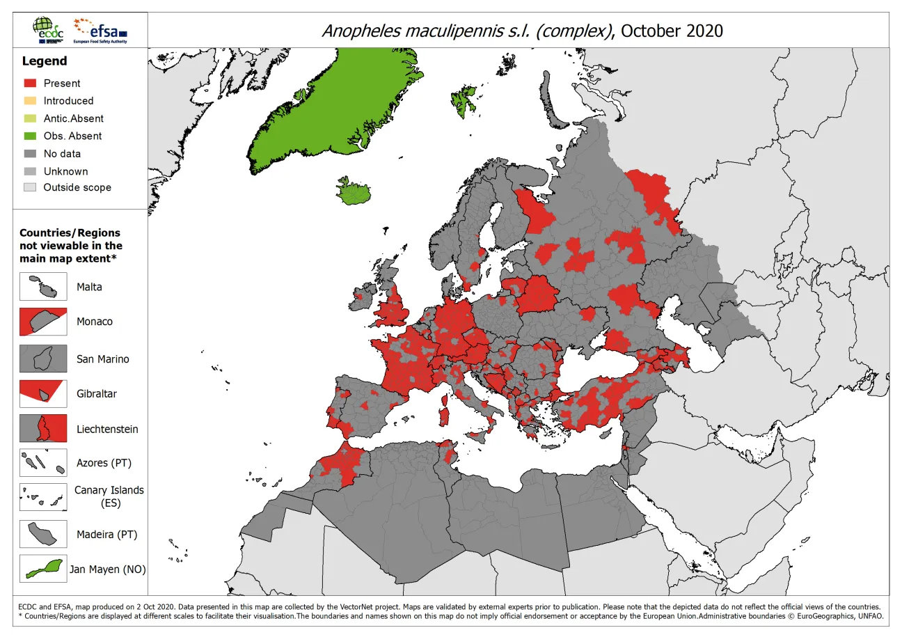 Anopheles maculipennis s.l. - current known distribution: October 2020