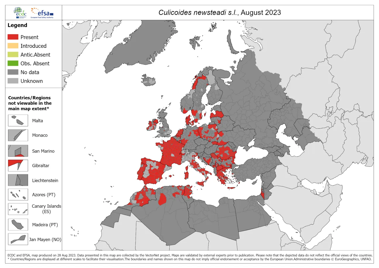 Culicoides newsteadi s.l. - current known distribution: August 2023