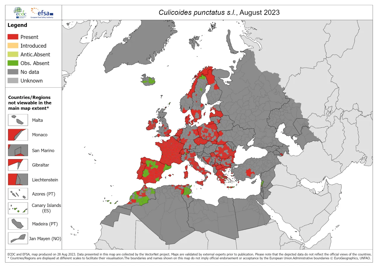 Culicoides punctatus s.l. - current known distribution: August 2023