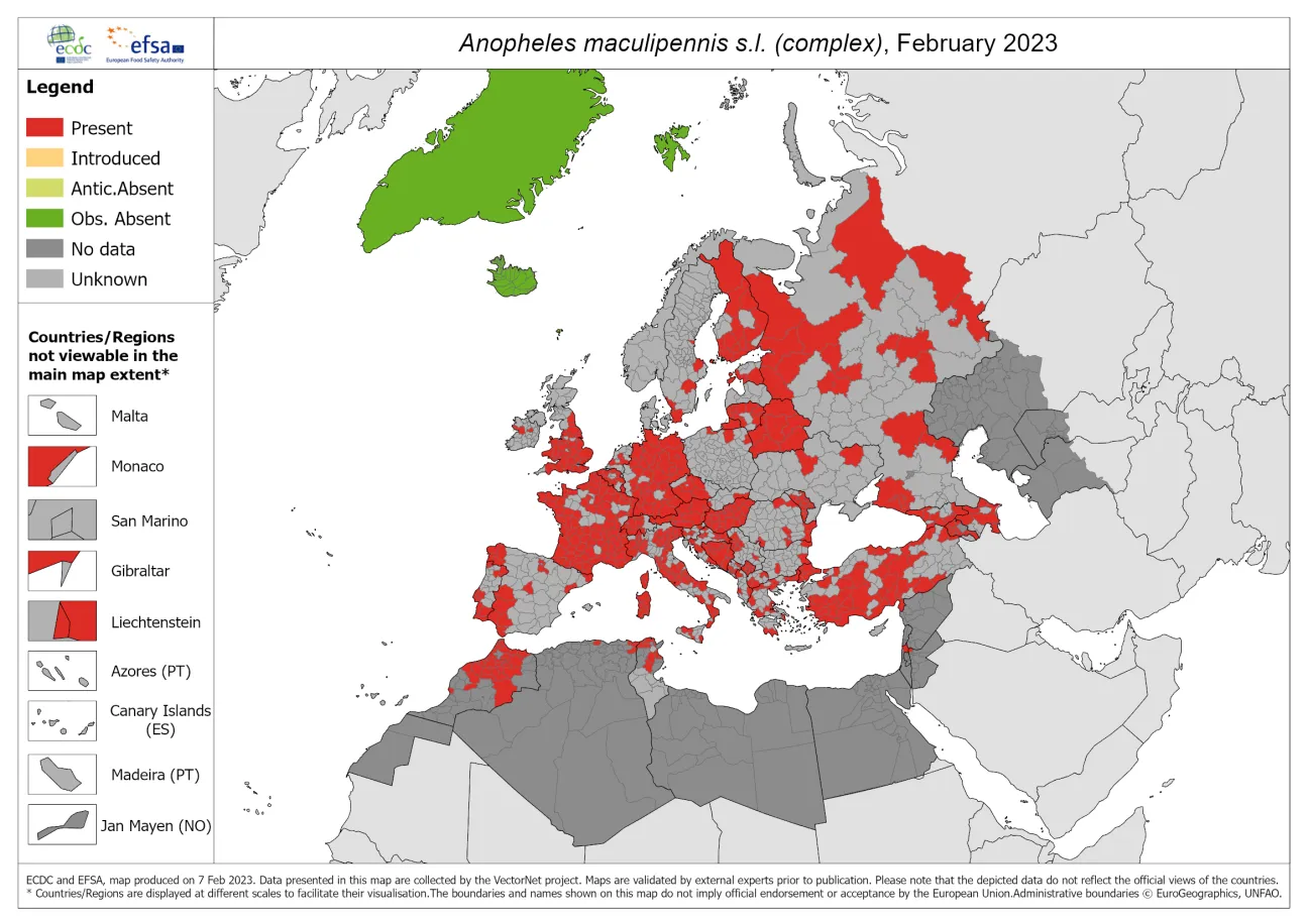 Anopheles maculipennis s.l. - current known distribution: February 2023