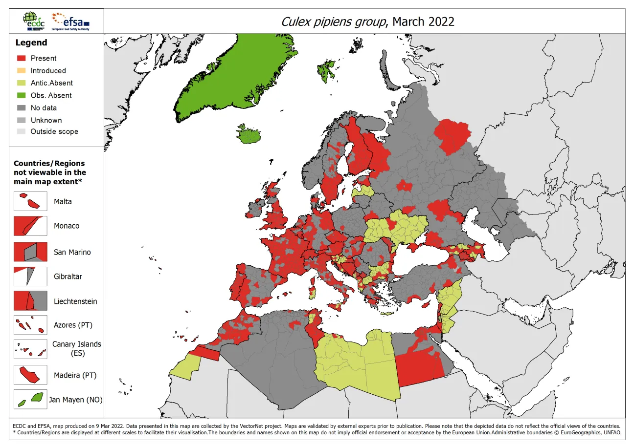 Culex pipiens group - current known distribution: March 2022