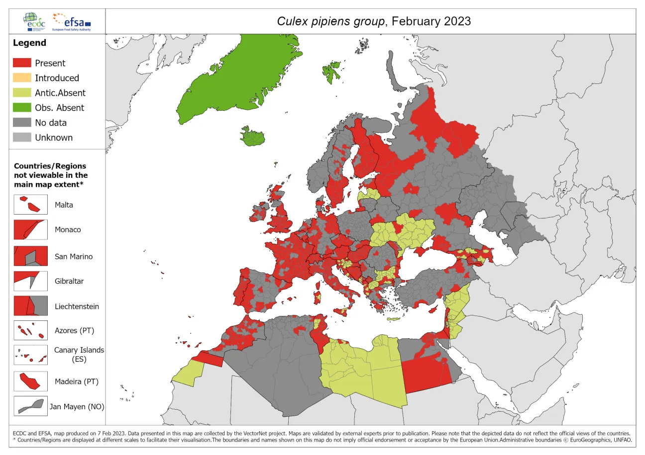 Culex pipiens group - current known distribution: February 2023