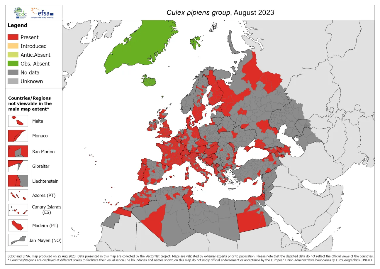 Culex pipiens group - current known distribution: August 2023