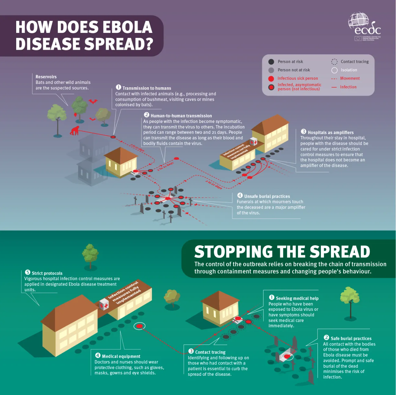 How does Ebola disease spread - infographic
