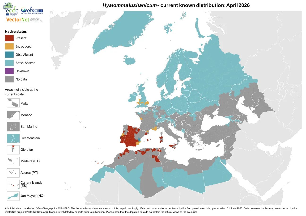 Hyalomma lusitanicum - current known distribution: April 2026.png