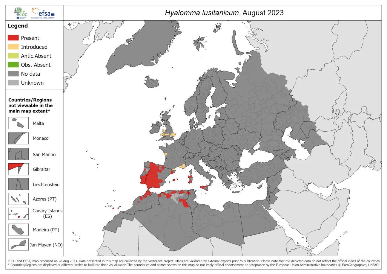 Hyalomma lusitanicum - current known distribution: August 2023