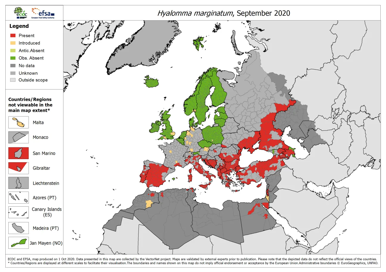 Hyalomma marginatum - current known distribution: September 2020