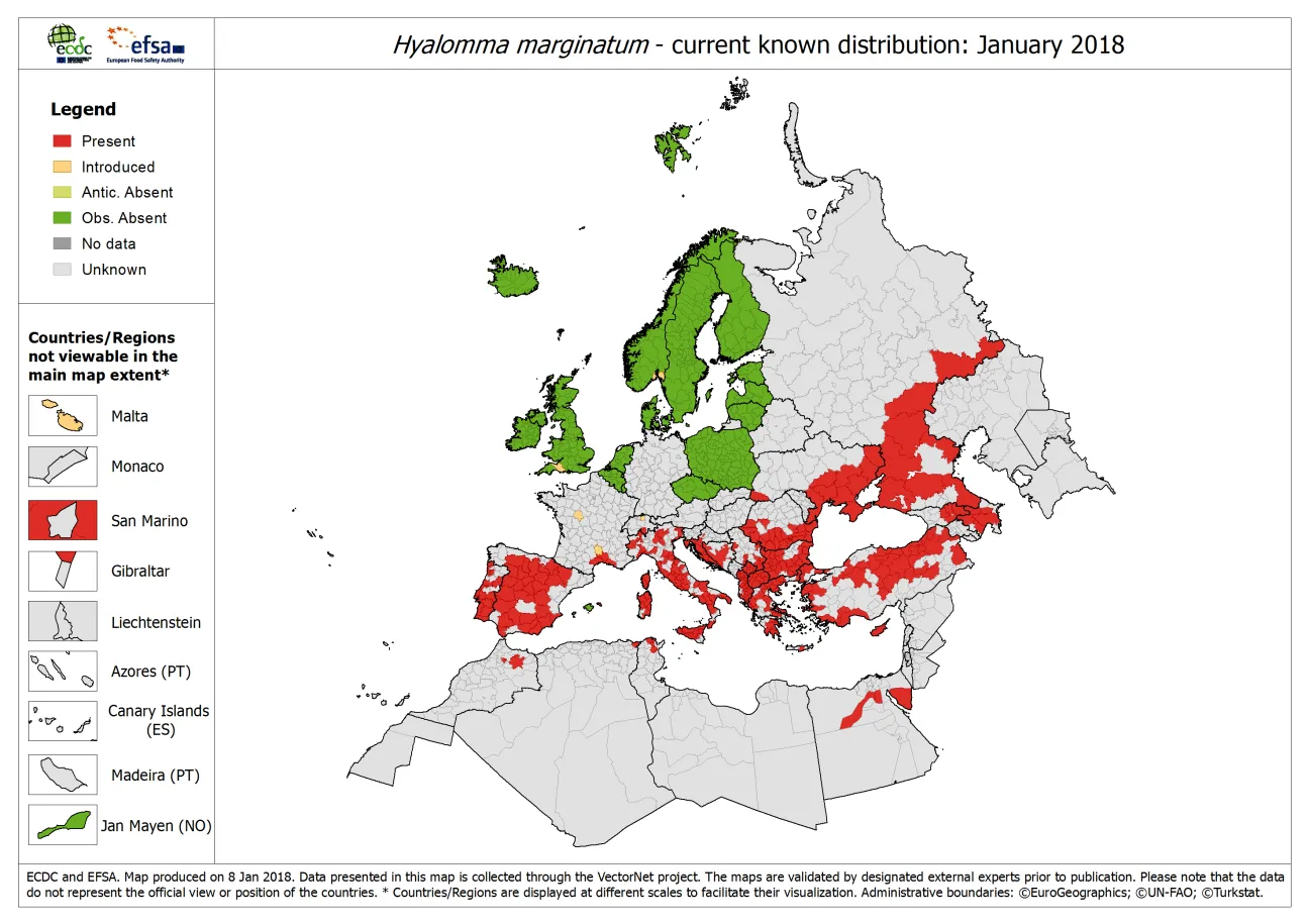 Hyalomma marginatum - current known distribution in Europe, January 2018