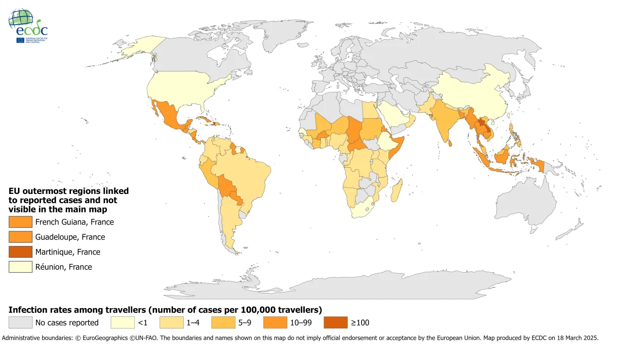 Rates of dengue infection among 100 000 travellers arriving in the EU/EEA, per country of infection, 2023