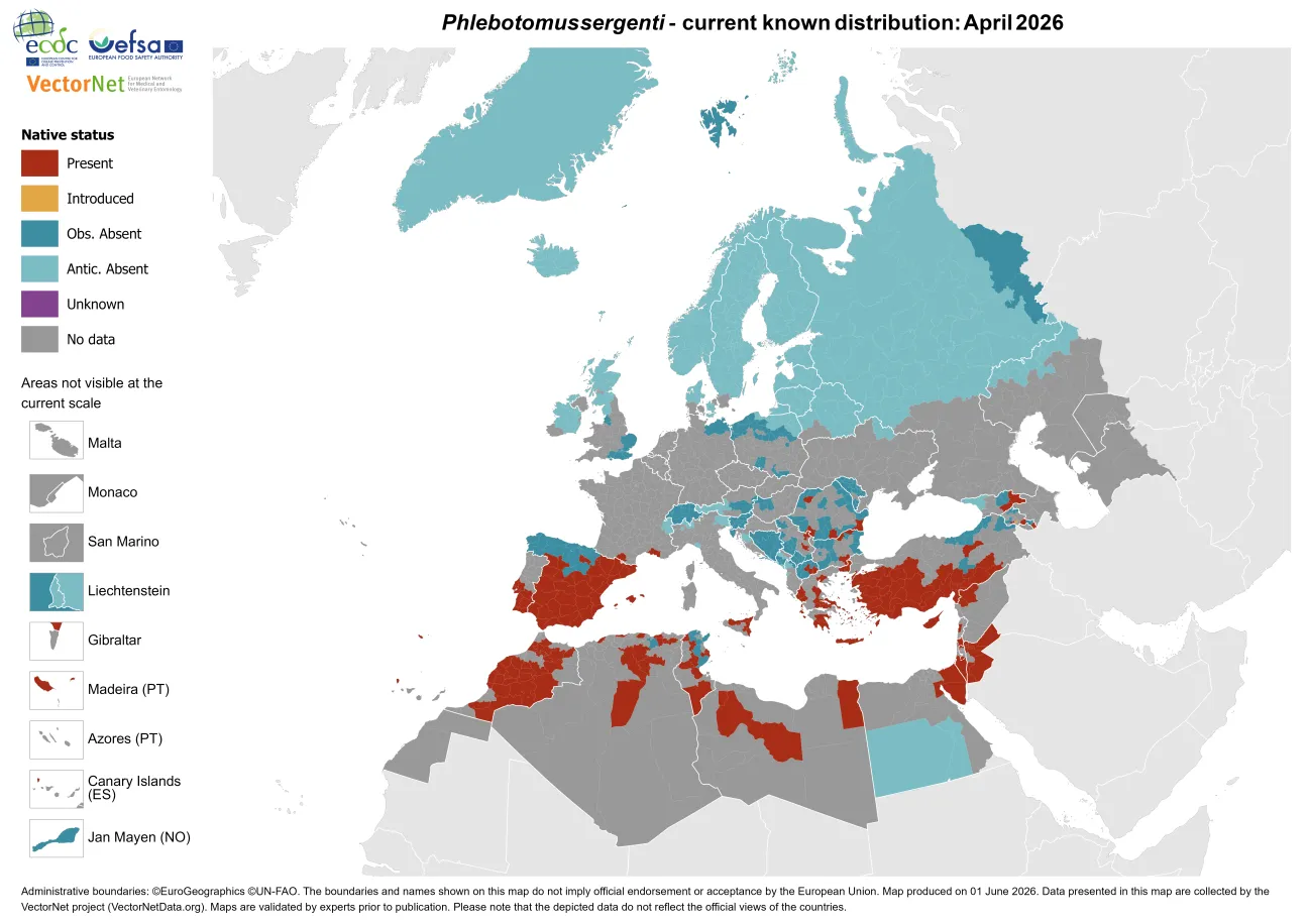 Phlebotomus sergenti - current known distribution: April 2026