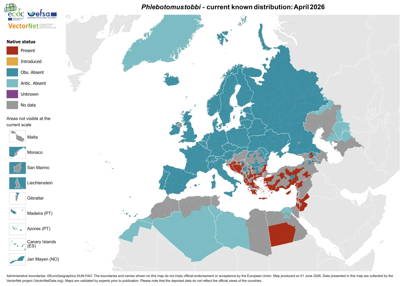 Phlebotomus tobbi - current known distribution: April 2026
