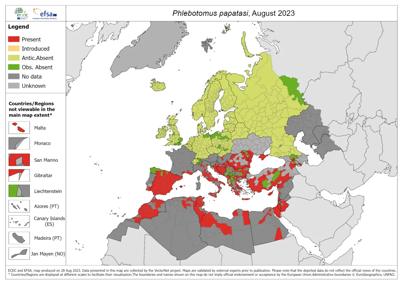 Phlebotomus papatasi - current known distribution: August 2023